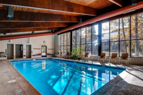 Ski Run Condominiums 109